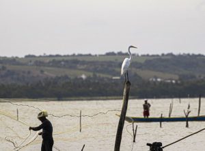 sexto-lote-do-seguro-defeso-sera-disponibilizado-na-terca-feira
